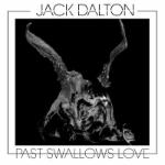 Past Swallows Love CD