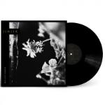 Wallflowers LP