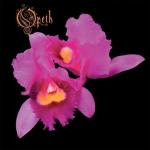 Orchid CD