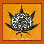 BLACK POWER FLOWER CD (DIGI)