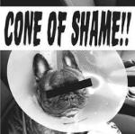 Cone Of Shame Clear MINI LP