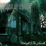 Midnight In The Labyrinth 2LP