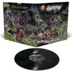 Realms Of Eternal Decay LP