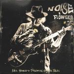 NOISE AND FLOWERS 2LP