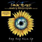 HEY HEY RISE UP (FEAT. ANDRIY KHLYVNYUK OF BOOMBOX) CD