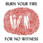 Burn Your Fire For No Witness CD