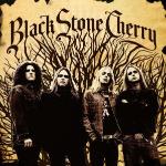 Black Stone Cherry CD
