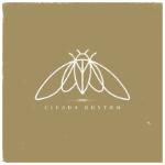 Cicada Rhythm CD