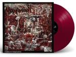 The Visions Of Trismegis OXBLOOD RED VINYL LP